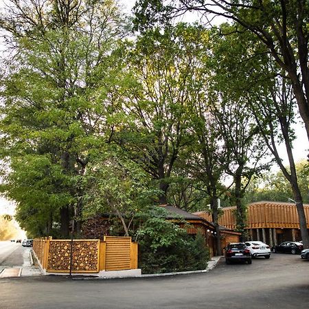 Forest M,Constanta Valu lui Traian Екстериор снимка