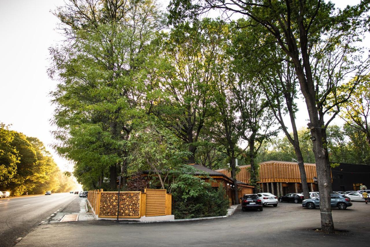 Forest M,Constanta Valu lui Traian Екстериор снимка