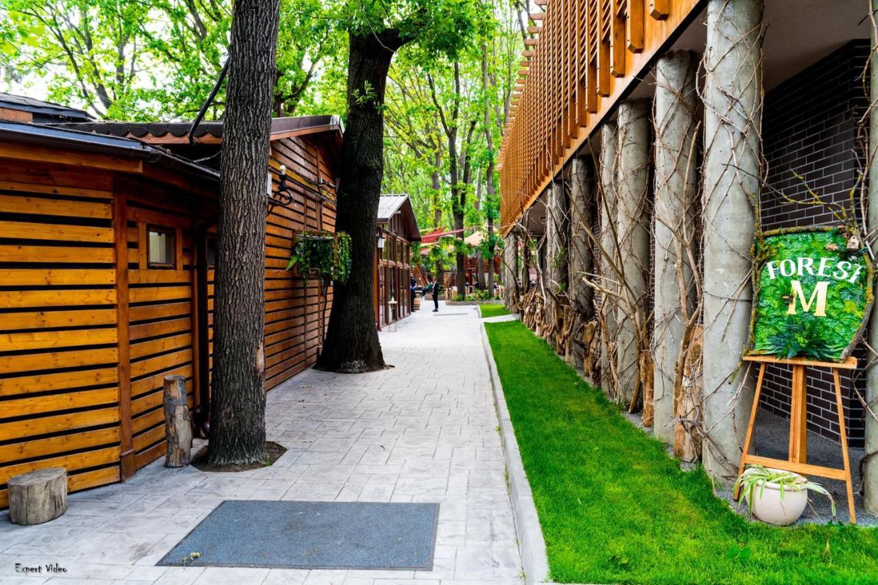 Forest M,Constanta Valu lui Traian Екстериор снимка